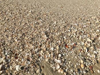 Close-up of pebbles on sand