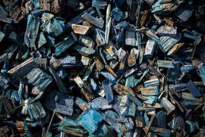 Full frame shot of logs in forest