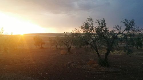 Scenic view of landscape against sky during sunset