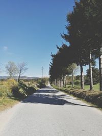 Road amidst trees against clear sky