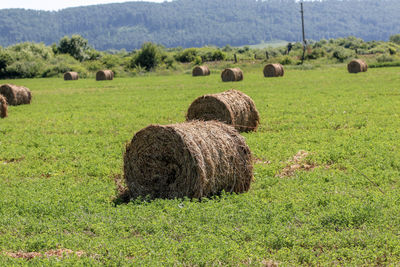 Hay bales on field against sky