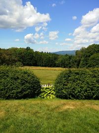 Scenic view of grassy field against sky