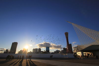 Birds flying in city against sky