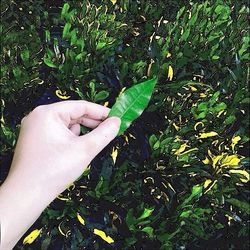Cropped image of person standing on ground