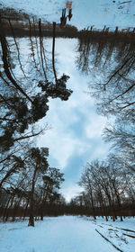 Trees on snow covered field against sky