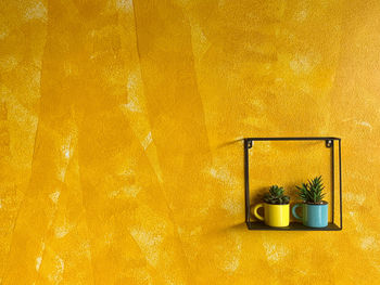 Yellow potted plant on wall