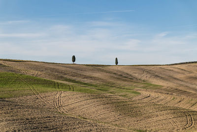 Scenic view of field against sky