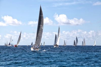 Sailboats sailing in sea against sky during competition