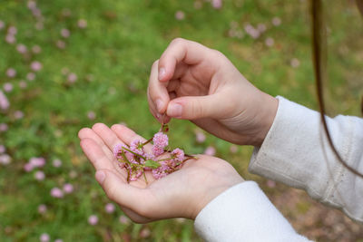 Close-up of hand holding plant