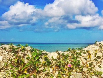 Scenic view of sea against cloudy sky