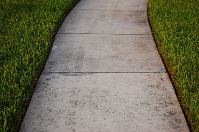 High angle view of grass