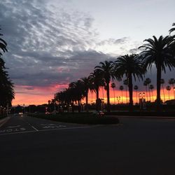 Silhouette palm trees against the sky at sunset