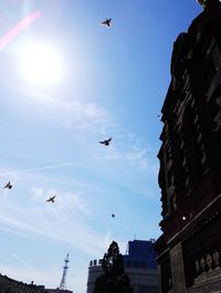 Low angle view of birds flying in sky