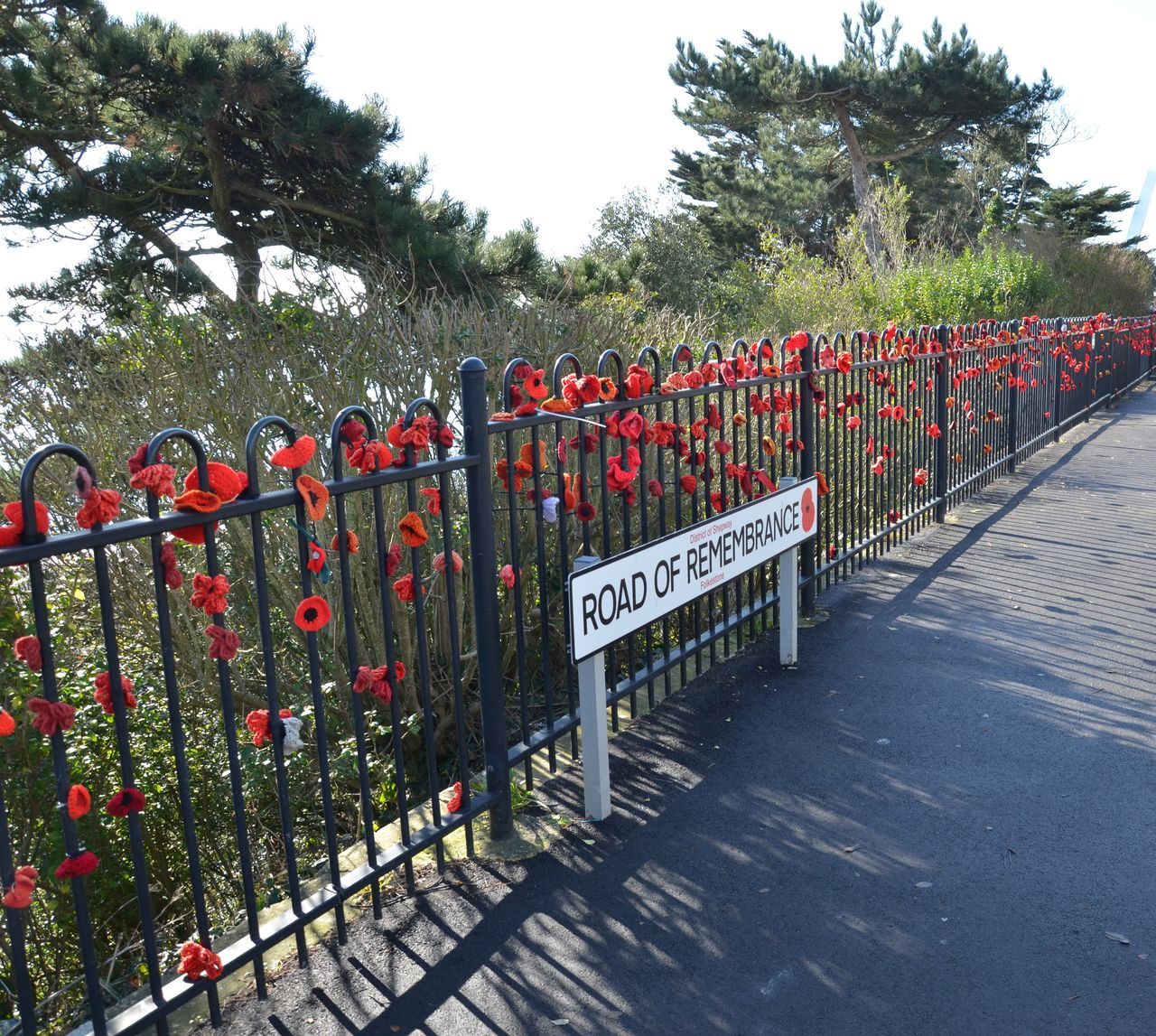 ROW OF TREES AGAINST SKY IN BACKGROUND