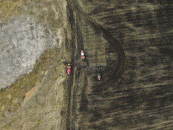 High angle view of cars on road