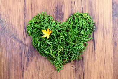 Directly above shot of heart shaped flower pot on table