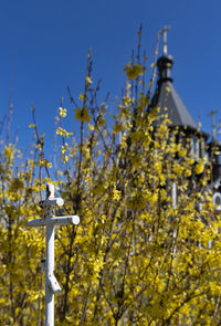 Low angle view of cross on tree by building against sky