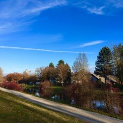 Road by trees and buildings against blue sky