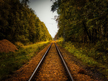 Railroad tracks along trees and plants