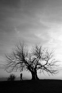 Silhouette bare tree on field against sky