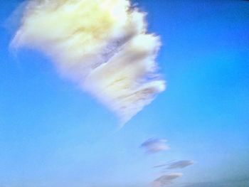 Low angle view of jellyfish swimming in blue sky