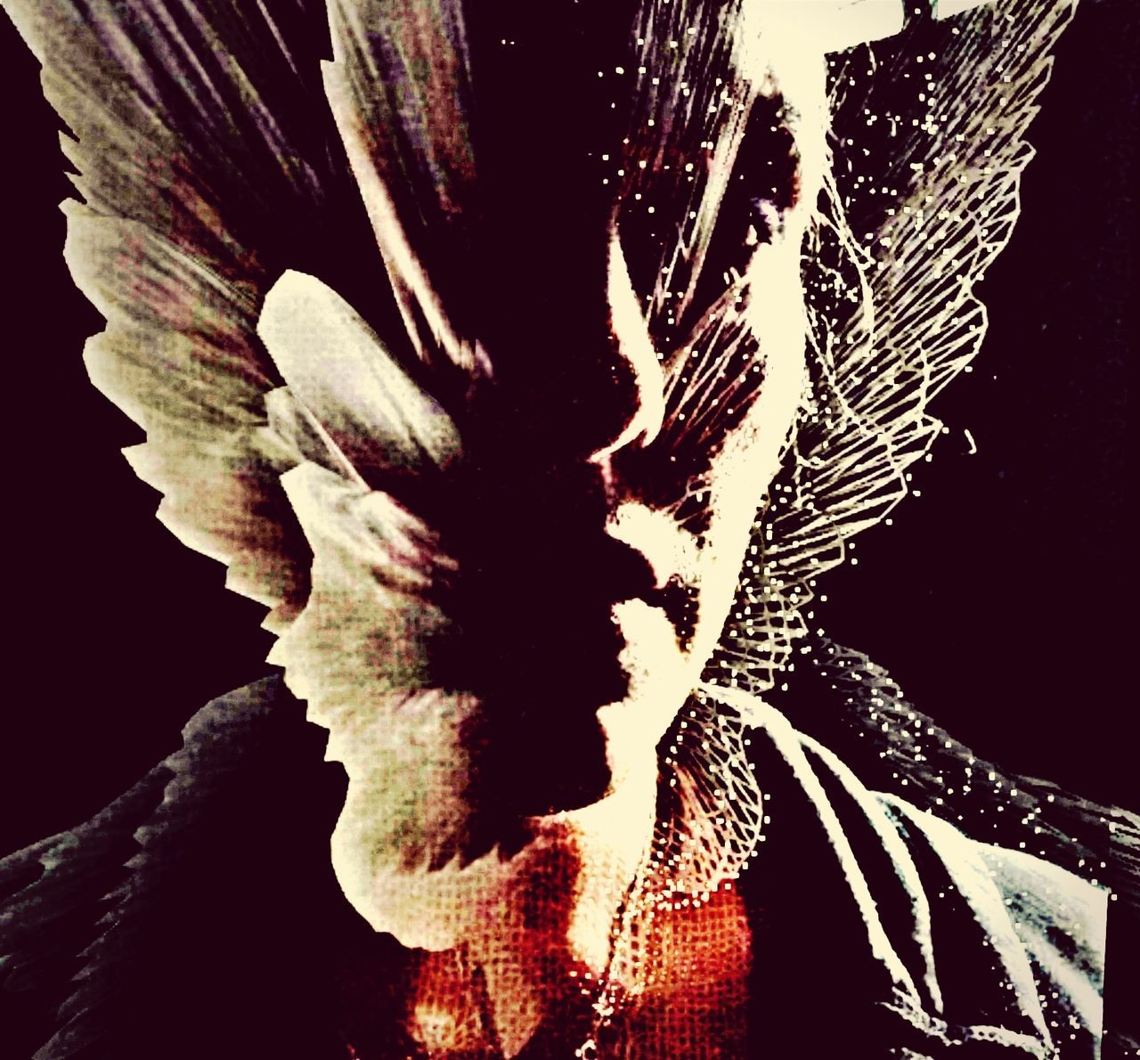 low angle view, close-up, nature, night, growth, natural pattern, beauty in nature, no people, tree, textured, outdoors, pattern, clear sky, sky, tranquility, dark, sunlight, silhouette, black background, branch