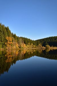 Scenic view of lake in forest against clear blue sky