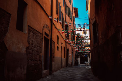 Alley amidst buildings in town