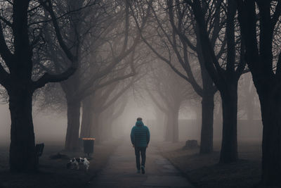 Rear view of man walking on snow covered trees