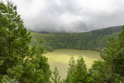 Scenic view of tree mountains against sky