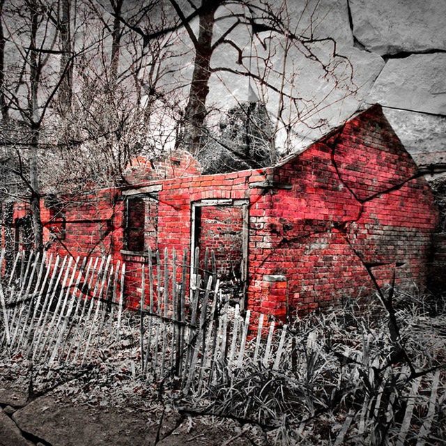 bare tree, tree, built structure, architecture, building exterior, branch, abandoned, tree trunk, damaged, autumn, old, house, wall - building feature, weathered, deterioration, wood - material, red, day, outdoors, brick wall