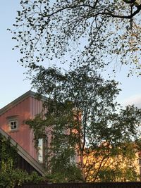 Low angle view of trees and building against sky