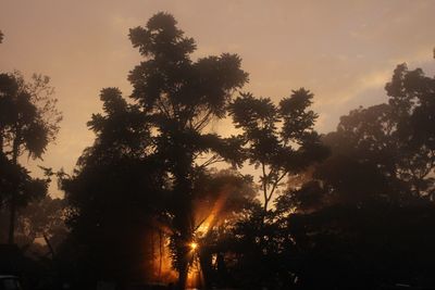 Low angle view of silhouette trees against sky at sunset