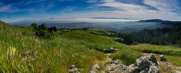 Scenic view of landscape against sky