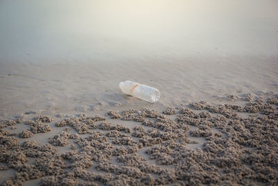 Aerial view of bottle on beach