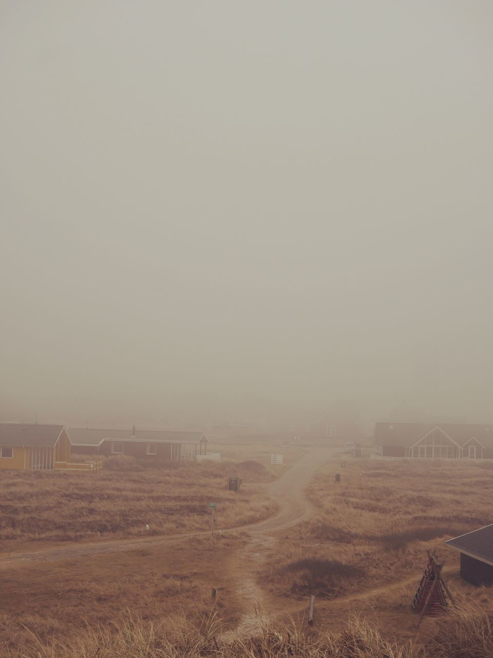 FIELD AGAINST CLEAR SKY