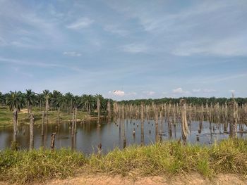 Scenic view of lake against sky