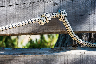 A black and white rope with two knots to serve as a railing on a steep mountain path. 