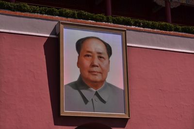 Portrait of man in window