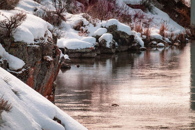 Frozen lake by trees during winter