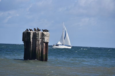 Sailboat in sea against sky