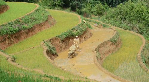 High angle view of rural landscape