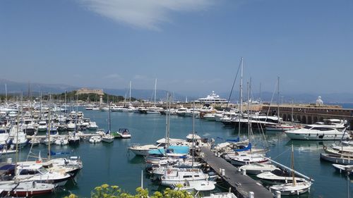 Sailboats moored at harbor