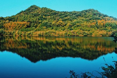 Scenic view of lake by trees against sky