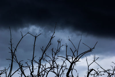 Low angle view of bare tree against cloudy sky