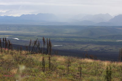 Scenic view of landscape against sky