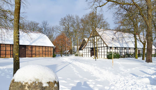 Snow covered houses by trees on field against sky