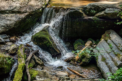 Scenic view of waterfall in forest