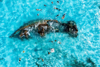 High angle view of swimming in sea