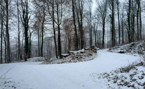 Snow covered trees in forest against sky